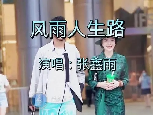 Feng Yu Ren Sheng Lu 风雨人生路 Wind And Rain In Life Lyrics 歌詞 With Pinyin By Zhang Xin Yu 张鑫雨