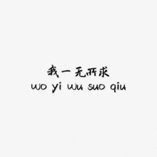 Yi Wu Suo Qiu 一无所求 For Nothing Lyrics 歌詞 With Pinyin By Su Xing Jie 苏星婕