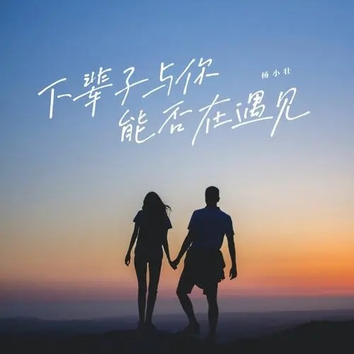 Xia Bei Zi Yu Ni Neng Fou Zai Yu Jian 下辈子与你能否在遇见 Can I Meet You In The Next Life Lyrics 歌詞 With Pinyin By Xiao Cong Cong 小匆匆