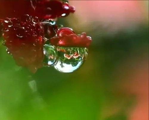 Shi Jian Ke You Wang Qing Jiu 世间可有忘情酒 Can There Be Love Forgetting Wine In The World Lyrics 歌詞 With Pinyin By Si Chuan Yu Ze 四川雨泽