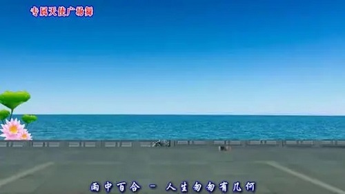 Ren Sheng Cong Cong Ji Shi Nian 人生匆匆几十年 Life Is In A Hurry For Decades Lyrics 歌詞 With Pinyin By Yu Zhong Bai He 雨中百合