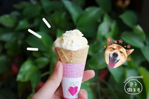 Bing Qi Lin 冰淇淋 Ice Cream Lyrics 歌詞 With Pinyin By Wang Xin Chen 王忻辰 Mai Xiao Dou 麦小兜 Mai Xiaodou