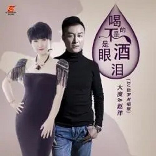 He De Bu Shi Jiu Shi Yan Lei 喝的不是酒是眼泪 It's Tears Not Wine That I Drink Lyrics 歌詞 With Pinyin By Zhao Yang 赵洋 Da Du 大度