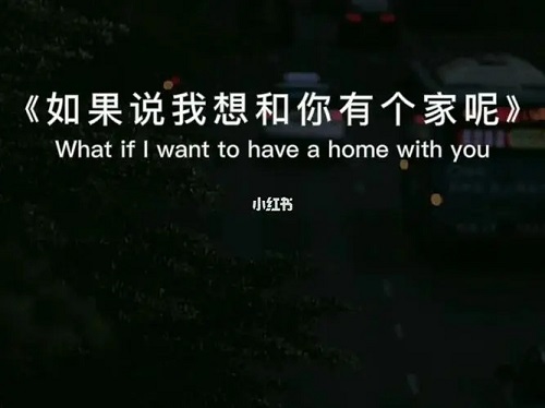 Ru Guo Shuo Wo Xiang He Ni You Ge Jia Ne 如果说我想和你有个家呢 What If I Want To Have A Home With You Lyrics 歌詞 With Pinyin By Hai Qi 海淇