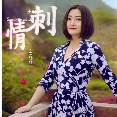 Qing Ci 情刺 Sentimental Sting Lyrics 歌詞 With Pinyin By Yun Fei Fei 云菲菲.webp