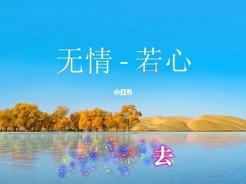 Wu Qing 无情 Heartless Lyrics 歌詞 With Pinyin By Ruo Xin 若心