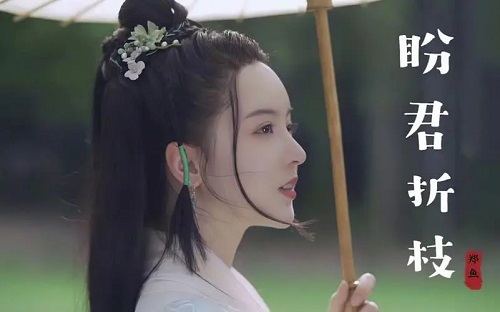 Pan Jun Zhe Zhi 盼君折枝 Hope You Will Be Back Lyrics 歌詞 With Pinyin By Zheng Yu 郑鱼