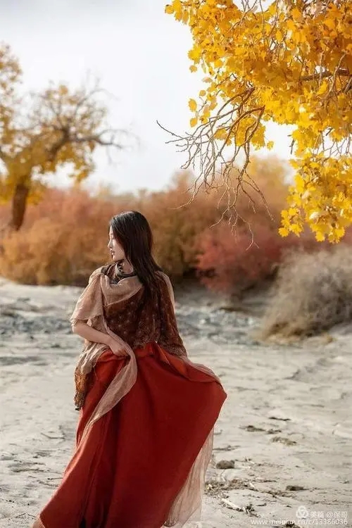 Qiu Yu 秋遇 Autumn Encounter Lyrics 歌詞 With Pinyin By Lin Rou Er 林柔儿