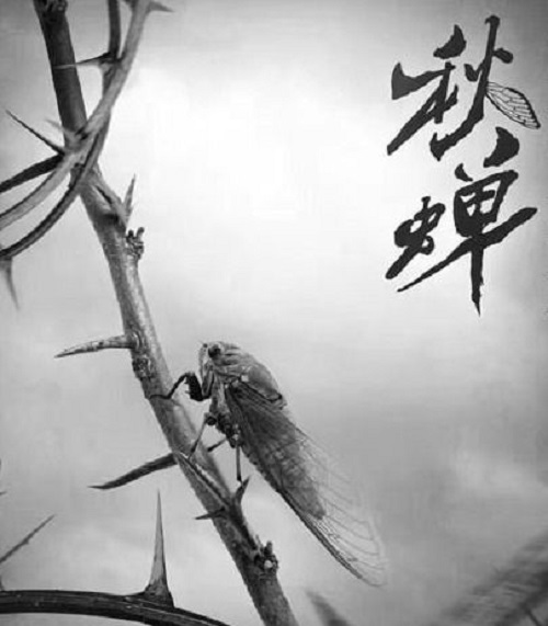 Qiu Chan 秋蝉 Harvest Fly Lyrics 歌詞 With Pinyin By Xie Jian Bin 谢建斌