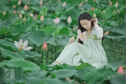 Lian Hua Gu Niang 莲花姑娘 Lotus Girl Lyrics 歌詞 With Pinyin By An Dong Yang 安东阳.webp