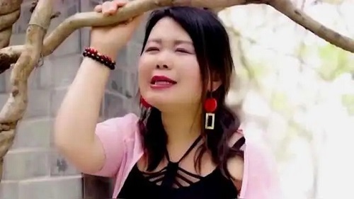 Rang Lei Zheng Fa 让泪蒸发 Let The Tears Evaporate Lyrics 歌詞 With Pinyin By Qiao Ling Er 乔玲儿
