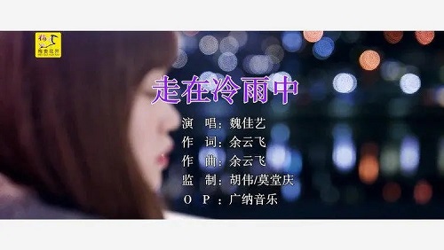 Zou Zai Leng Yu Zhong 走在冷雨中 Walking In The Cold Rain Lyrics 歌詞 With Pinyin By Wei Jia Yi 魏佳艺