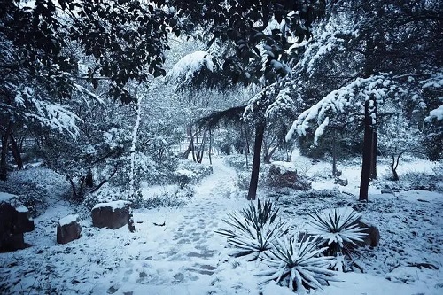 Fu Ren Jian Di Yi Chang Xue 赴人间第一场雪 The First Snow On Earth Lyrics 歌詞 With Pinyin By Dong Zhen 董真 Dong Zhen