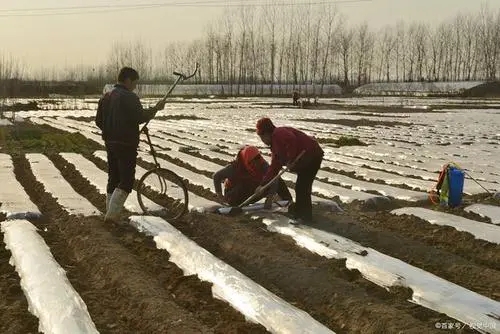 Fan Xiang Xia Geng Tian La Ni 返乡下耕田啦你 You Just Back To Farming Lyrics 歌詞 With Pinyin By Lin Hai Feng 林海峰 Jan Lamb