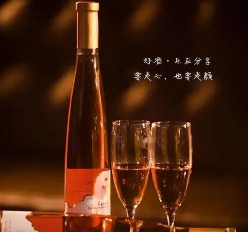 He Le Yi Kou Xing Guang Jiu 喝了一口星光酒 Lyrics 歌詞 With Pinyin By Xiao Xiao Ya 小小雅