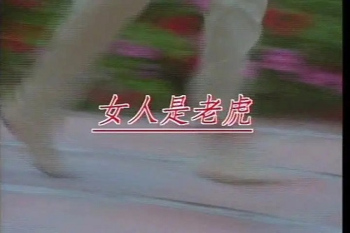 Nv Ren Shi Lao Hu 女人是老虎 Lyrics 歌詞 With Pinyin By Xiao Tian Tian 小甜甜 Xiao Tian Tian