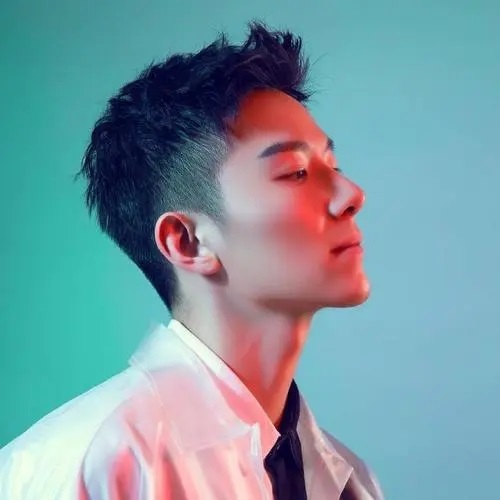 Fei Pin 废品 Scrap Lyrics 歌詞 With Pinyin By Cai He Feng 蔡鹤峰