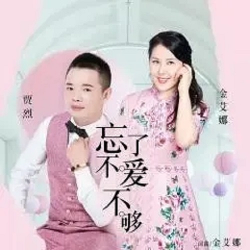 Wang Bu Liao Ai Bu Gou 忘不了爱不夠 Lyrics 歌詞 With Pinyin By Jin Ai Na 金艾娜 Jia Lie 贾烈