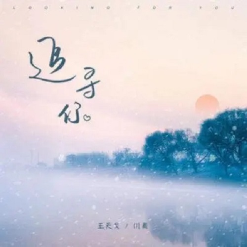 洋書 Chang&#39;an Wen Wu Yu Gu Dai Fa Zhi  Chinese Edition Chang'an Wen Wu Yu Gu Dai Fa Zhi（Wen wu zhong de wu li